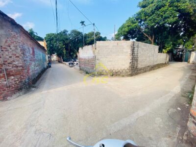 64.3m Phượng đồng chưa đến 3 tỷ