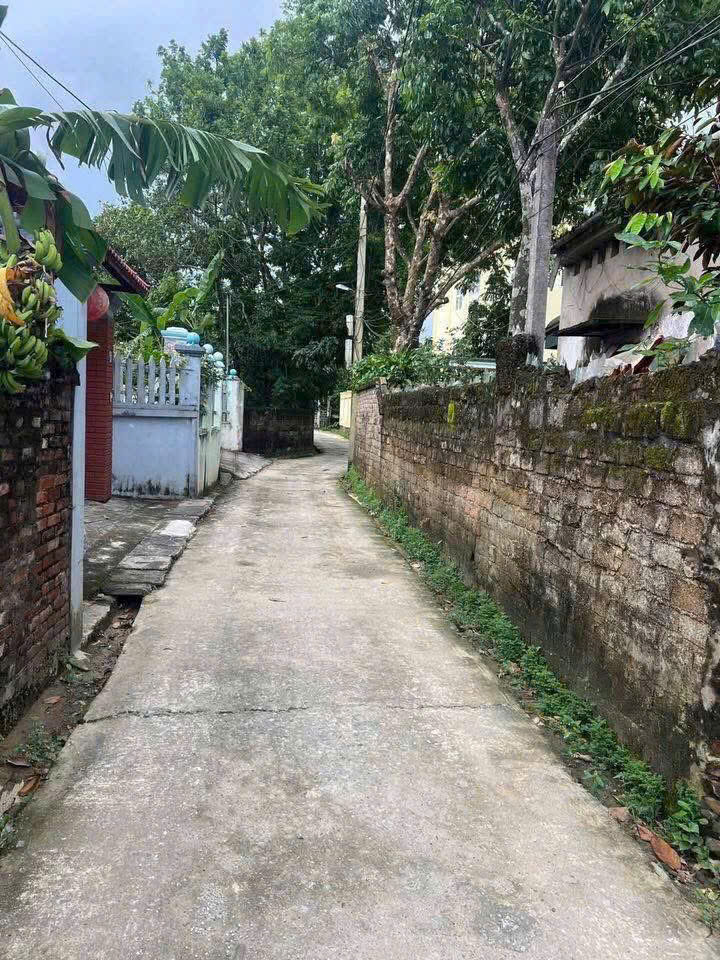 123,5m2 Thủy Xuân Tiên, Chương Mỹ 123,5m2 Thủy Xuân Tiên, Chương Mỹ