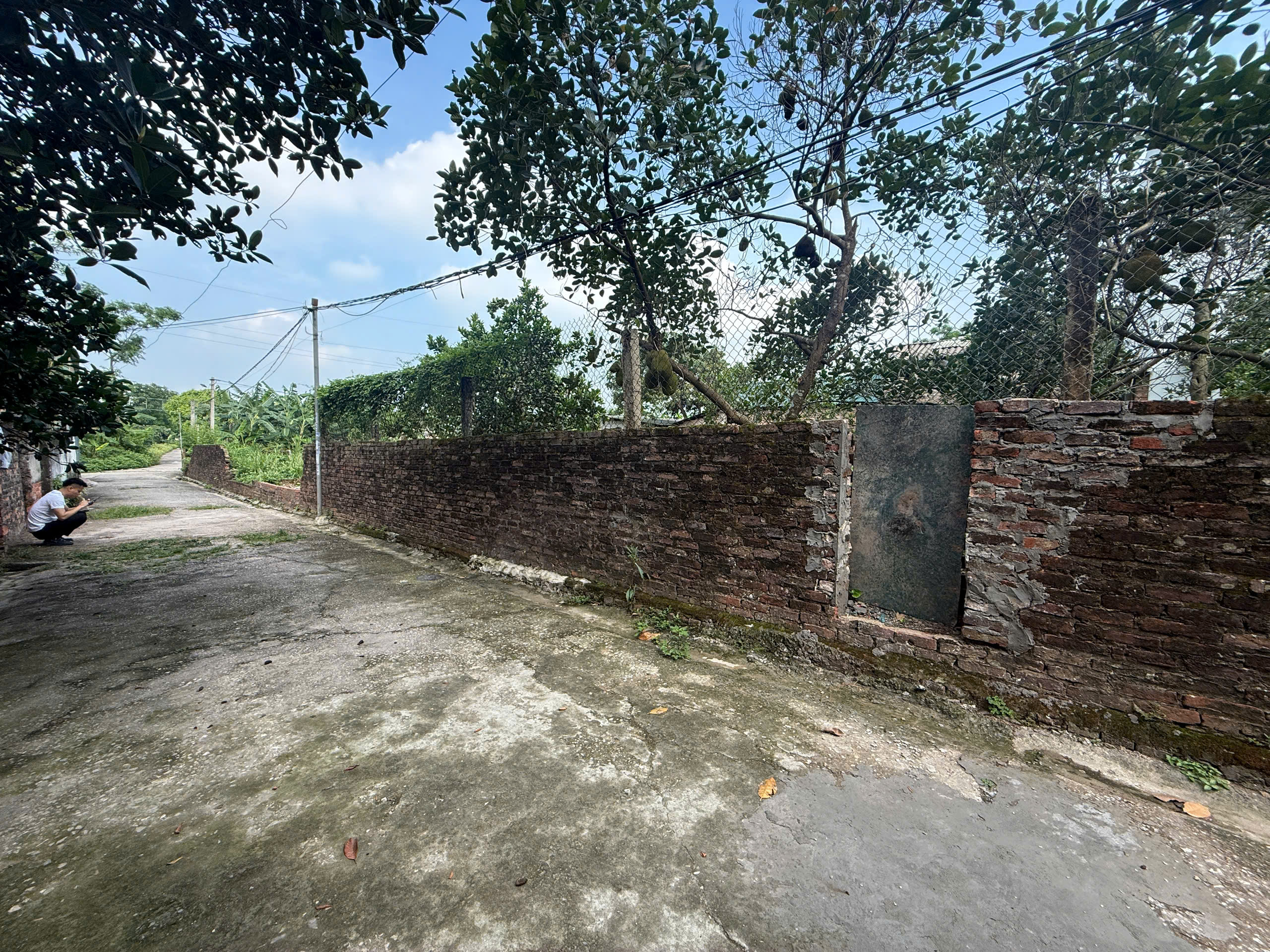 65,5m Đại Yên giá 2,8 tỷ hh 50 65,5m Đại Yên giá 2,8 tỷ hh 50